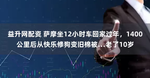 益升网配资 萨摩坐12小时车回家过年，1400公里后从快乐修狗变旧棉被…老了10岁