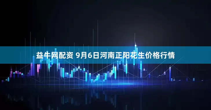 益牛网配资 9月6日河南正阳花生价格行情
